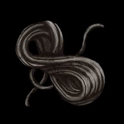 Carbon Fiber database entry