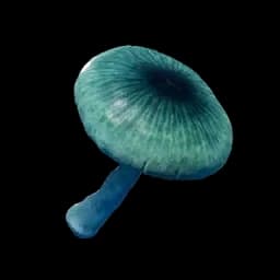 Mysterious Mushroom Palworld item database entry
